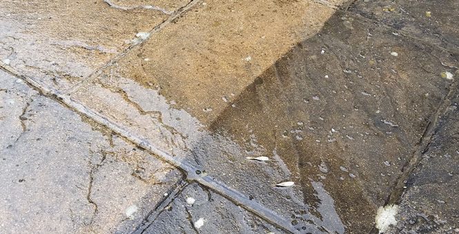 Patio Cleaning