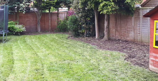 Garden Tidy and Clearance